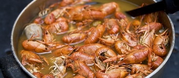 Как правильно варить раков