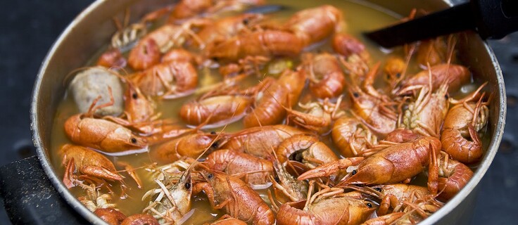 Как правильно варить раков
