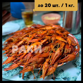 Вареные раки Средне-Крупные