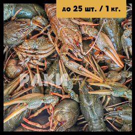 Живые раки Средние