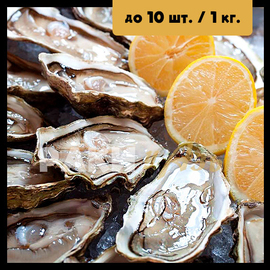 Устрица дальневосточная 100+