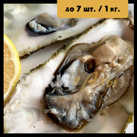 Устрица дальневосточная 150+